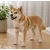 Harnais pour chien Lara Beige Harnais pour chien Lara Beige
