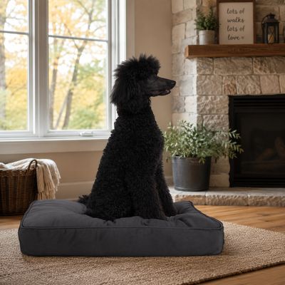 Molly Mutt Housse de Lit pour Chien et Chat I'm a realist