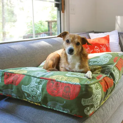 Molly Mutt Housse de Lit pour Chien et Chat Elephant Parade