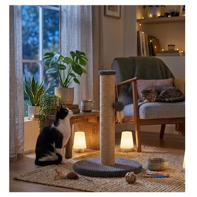 Arbre a chat et jeu suspendu Riba 33 x 45 cm gris foncé Arbre a chat et jeu suspendu Riba 33 x 45 cm gris foncé