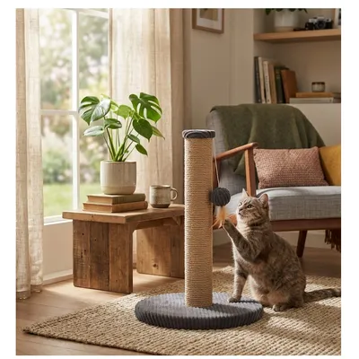 Arbre a chat et jeu suspendu Riba 33 x 45 cm gris foncé Arbre a chat et jeu suspendu Riba 33 x 45 cm gris foncé