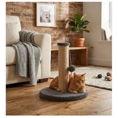 Arbre a chat et jeu suspendu Riba 33 x 45 cm gris foncé Arbre a chat et jeu suspendu Riba 33 x 45 cm gris foncé