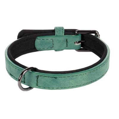 Collier pour chien avec doublure néoprène
