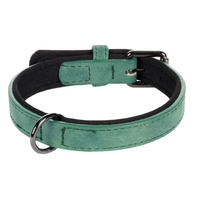 Collier pour chien avec doublure néoprène Collier pour chien avec doublure néoprène