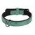 Collier pour chien avec doublure néoprène Collier pour chien avec doublure néoprène