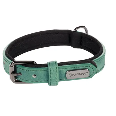 Collier pour chien avec doublure néoprène Collier pour chien avec doublure néoprène