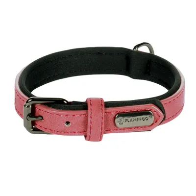 Collier pour chien avec doublure néoprène Collier pour chien avec doublure néoprène