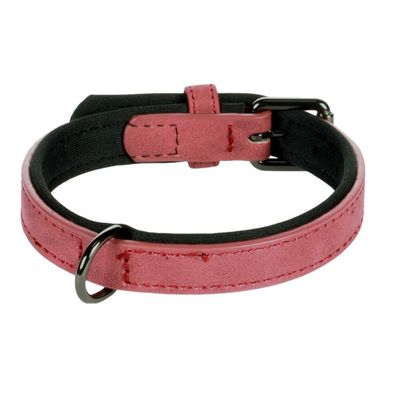 Collier pour chien avec doublure néoprène