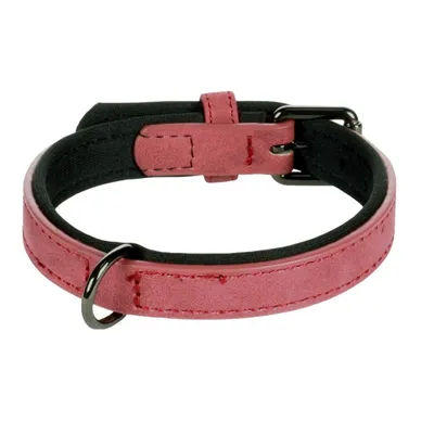 Collier pour chien avec doublure néoprène Collier pour chien avec doublure néoprène