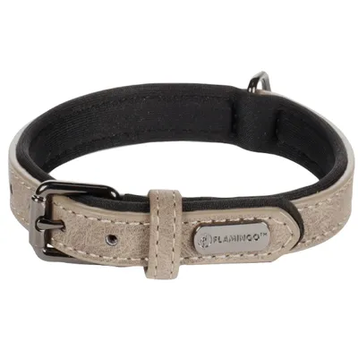 Collier pour chien avec doublure néoprène
