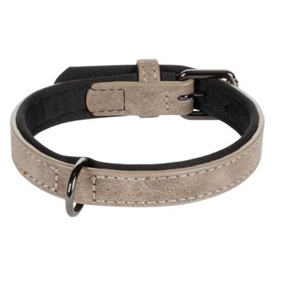 Collier pour chien avec doublure néoprène