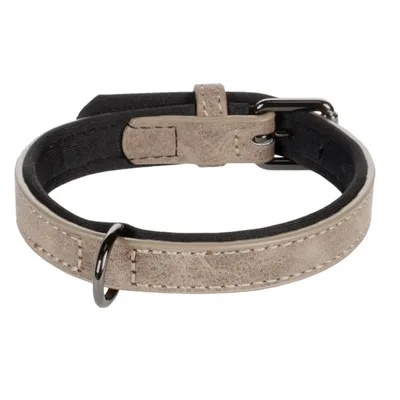 Collier pour chien avec doublure néoprène Collier pour chien avec doublure néoprène