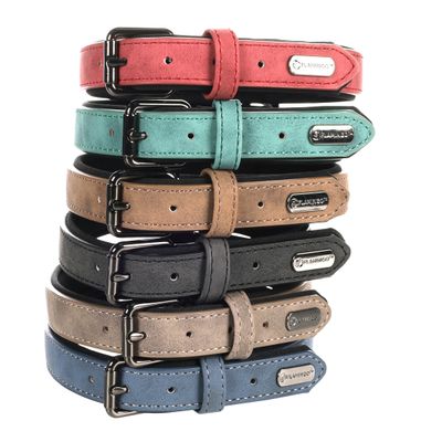 Collier pour chien avec doublure néoprène
