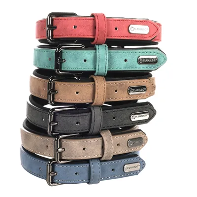 Collier pour chien avec doublure néoprène