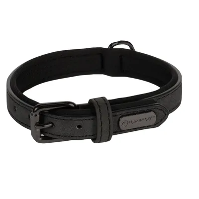 Collier pour chien avec doublure néoprène