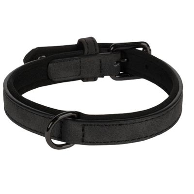 Collier pour chien avec doublure néoprène