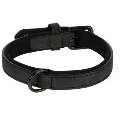 Collier pour chien avec doublure néoprène Collier pour chien avec doublure néoprène