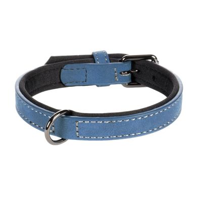 Collier pour chien avec doublure néoprène