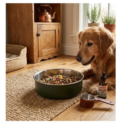 Gamelle pour la nourriture et l'eau en inox Yums Gamelle pour la nourriture et l'eau en inox Yums