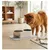 Double gamelle nourriture et eau Kana pour chien Double gamelle nourriture et eau Kana pour chien