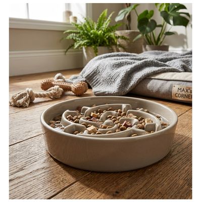 Gamelle ronde anti glouton pour chien Sena