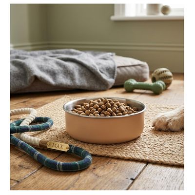 Gamelle pour la nourriture et l'eau en inox Yums