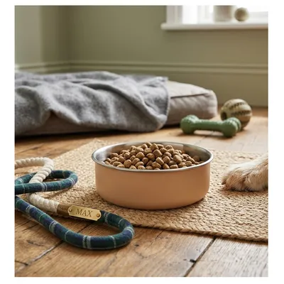Gamelle pour la nourriture et l'eau en inox Yums