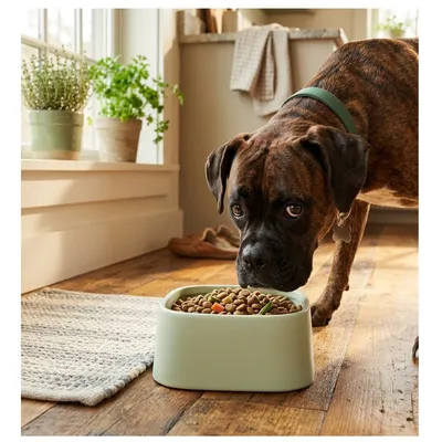 Gamelle carrée Zara en céramique pour chien