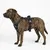 Harnais réglable et réfléchissant pour Chien Balou