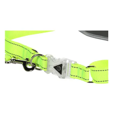 Laisse de Jogging avec Ceinture de Hanches LED pour Chien