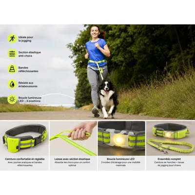 Laisse de Jogging avec Ceinture de Hanches LED pour Chien