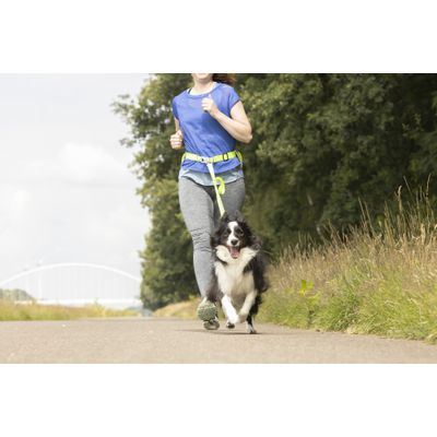 Laisse de Jogging avec Ceinture de Hanches LED pour Chien