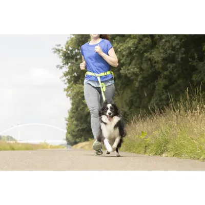 Laisse de Jogging avec Ceinture de Hanches LED pour Chien