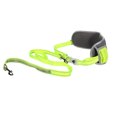 Laisse de Jogging avec Ceinture de Hanches LED pour Chien