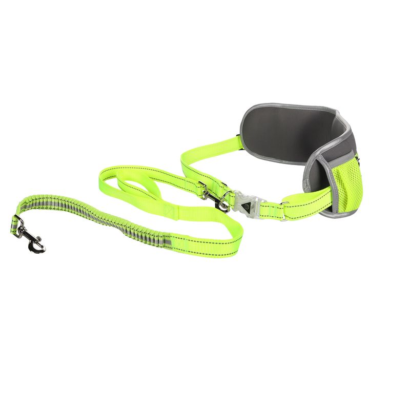 Laisse de Jogging avec Ceinture de Hanches LED pour Chien