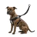 Harnais Easy Walker promenades confortables et sans traction