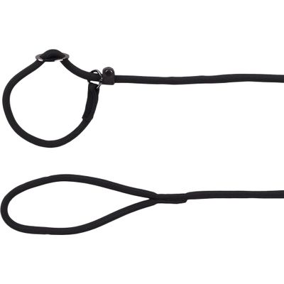 Laisse anti-traction Aiden