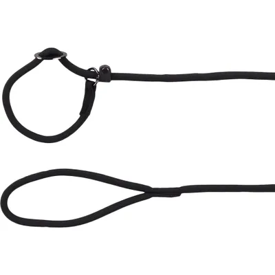 Laisse anti-traction Aiden Laisse anti-traction Aiden