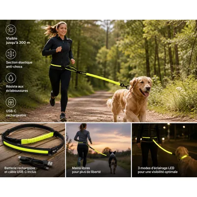 Laisse de Jogging LED Réfléchissante pour Chien