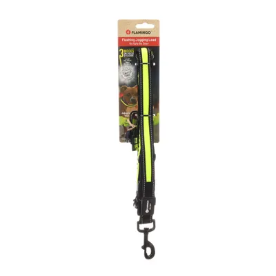 Laisse de Jogging LED Réfléchissante pour Chien