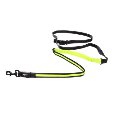 Laisse de Jogging LED Réfléchissante pour Chien