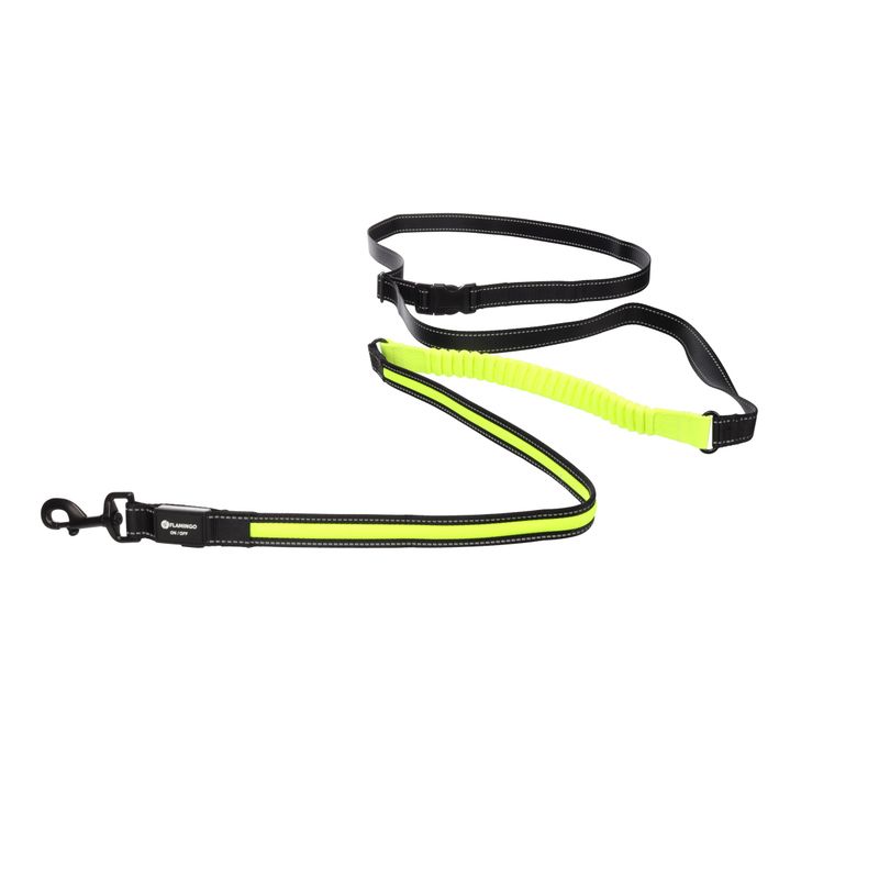 Laisse de Jogging LED Réfléchissante pour Chien