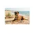 Laisse pour chien Lara