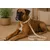 Laisse pour chien Lara