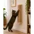 Planche a griffer murale Salem Griffoir pour chat 50cm Planche a griffer murale Salem Griffoir pour chat 50cm