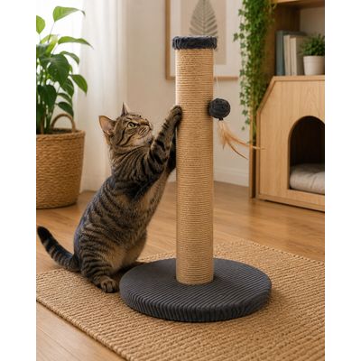 Arbre a chat Riba Griffoir design avec base rembourrée 60cm