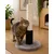Arbre a chat Alize Griffoir avec surface de massage 52cm