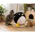 Balle a griffer pingouin pour chat avec corde 30cm
