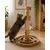 Jouet a griffer Kofti pour chat Arbre interactif avec circuit 54cm Jouet a griffer Kofti pour chat Arbre interactif avec circuit 54cm