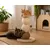 Arbre a chat avec plateforme Griffoir en bois et cordes 47cm Arbre a chat avec plateforme Griffoir en bois et cordes 47cm